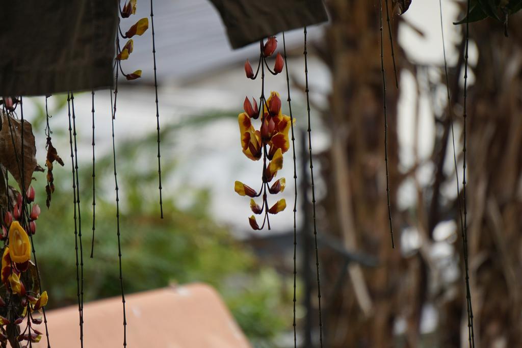 Mountain House Manizales 호텔 외부 사진